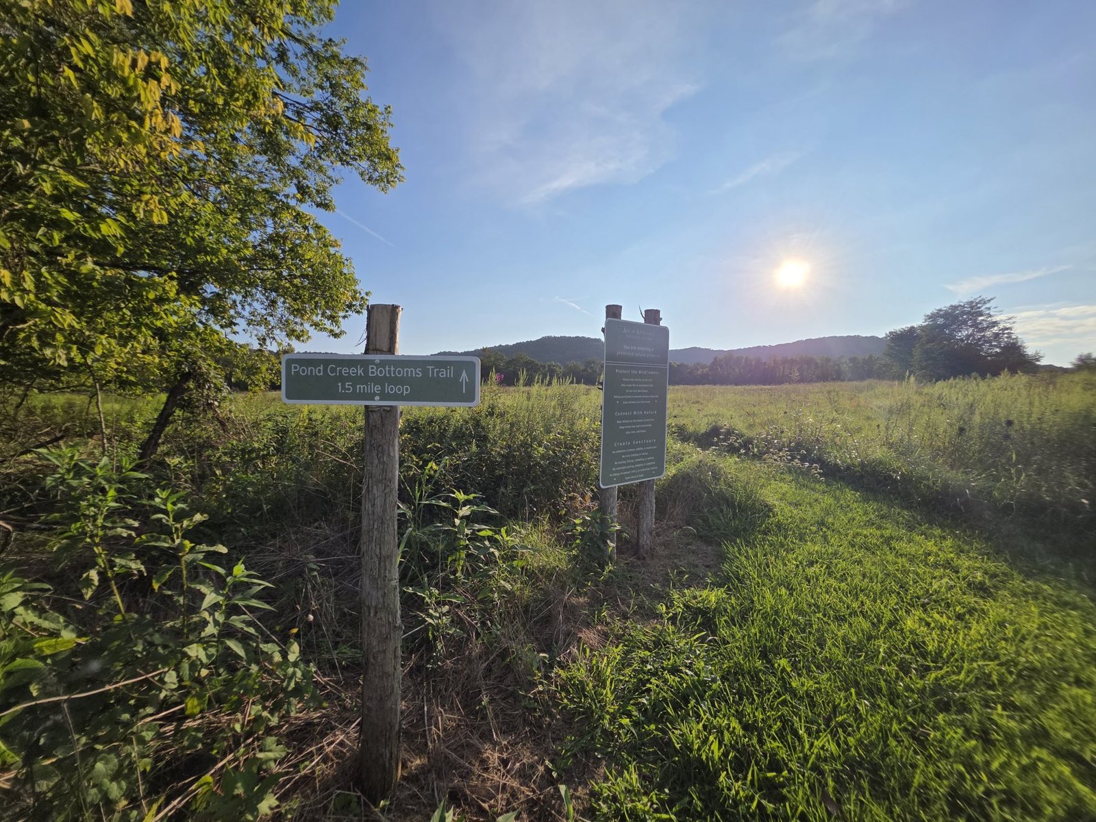 Native Grounds